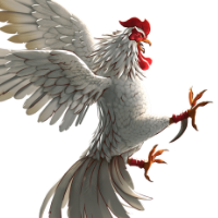 Cockfight